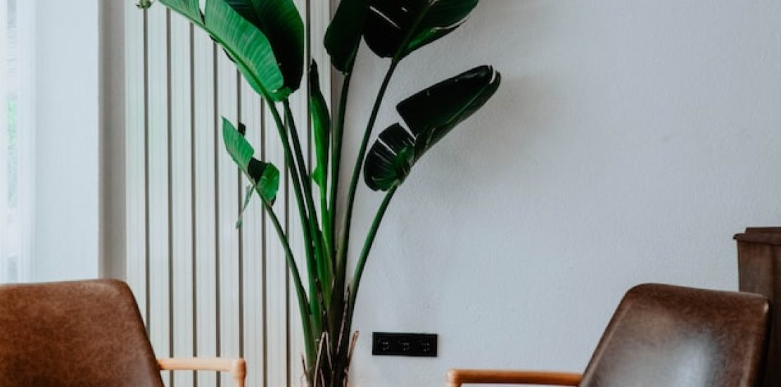 ceyda-ciftci-MSWx1IlwYuw-unsplash
